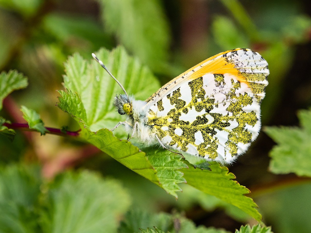 praktische tipps für die selbstständigkeit: erfolgreich in die eigene existenz starten, geschäftsideen entwickeln und herausforderungen meistern.