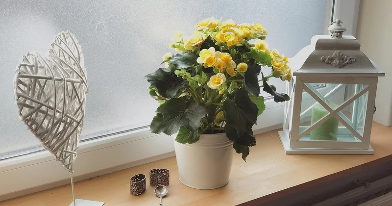 Fensterdeko Weihnachten: Stile, Materialien und die Sache mit der Sonne