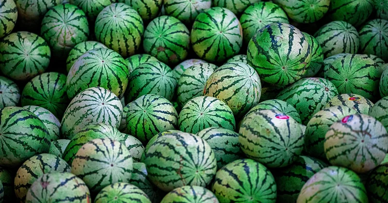Mein Fazit nach Jahren des Frucht-Rechnens